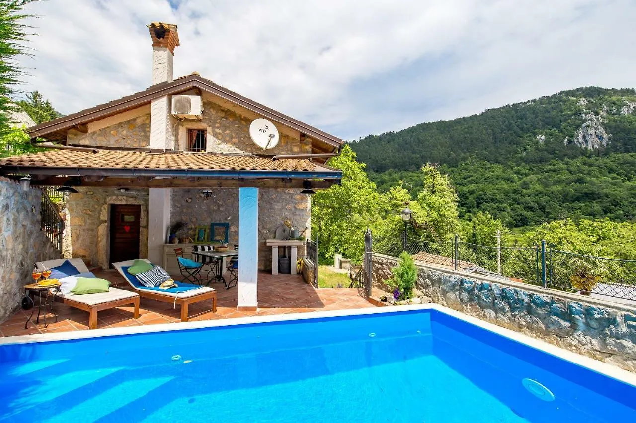 Villa House Pavincic Lovran 0*,